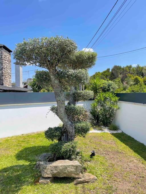 Villa - Ancora - 300 Metres De L'Ocean Vila Praia de Âncora Exteriör bild
